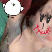 ヒメ日記 2024/12/12 13:56 投稿 まりも 千姫(道後)