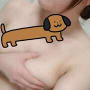 ヒメ日記 2024/12/19 02:28 投稿 まりも 千姫(道後)