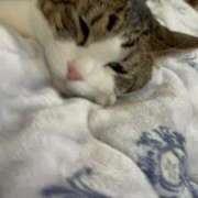 ヒメ日記 2024/12/19 23:16 投稿 はるか カワサキEROTIC（ソープランド）