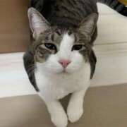 ヒメ日記 2024/12/28 01:15 投稿 はるか カワサキEROTIC（ソープランド）