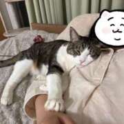 ヒメ日記 2025/01/21 17:04 投稿 はるか カワサキEROTIC（ソープランド）