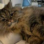 ヒメ日記 2025/01/27 10:20 投稿 はるか カワサキEROTIC（ソープランド）