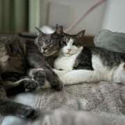 ヒメ日記 2025/02/05 15:09 投稿 はるか カワサキEROTIC（ソープランド）