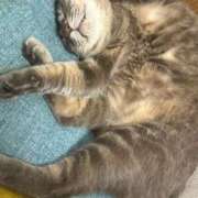 ヒメ日記 2025/02/14 00:30 投稿 はるか カワサキEROTIC（ソープランド）