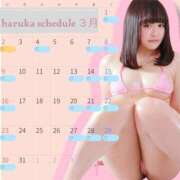 ヒメ日記 2025/02/24 06:00 投稿 はるか カワサキEROTIC（ソープランド）