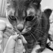 ヒメ日記 2025/02/24 13:46 投稿 はるか カワサキEROTIC（ソープランド）