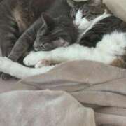 ヒメ日記 2025/03/08 22:10 投稿 はるか カワサキEROTIC（ソープランド）