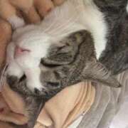 ヒメ日記 2025/03/23 21:02 投稿 はるか カワサキEROTIC（ソープランド）