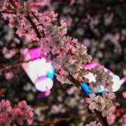 ヒメ日記 2025/04/05 05:00 投稿 はるか カワサキEROTIC（ソープランド）