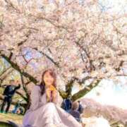 ヒメ日記 2025/04/06 12:00 投稿 はるか カワサキEROTIC（ソープランド）