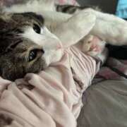 ヒメ日記 2025/04/11 08:09 投稿 はるか カワサキEROTIC（ソープランド）