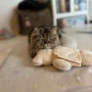 ヒメ日記 2025/04/11 11:41 投稿 はるか カワサキEROTIC（ソープランド）