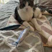 ヒメ日記 2025/04/13 08:46 投稿 はるか カワサキEROTIC（ソープランド）