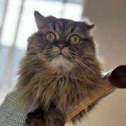 ヒメ日記 2025/04/14 22:03 投稿 はるか カワサキEROTIC（ソープランド）