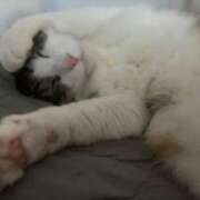 ヒメ日記 2025/04/26 17:04 投稿 はるか カワサキEROTIC（ソープランド）