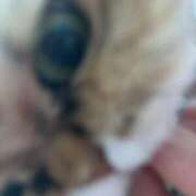 ヒメ日記 2025/04/27 21:30 投稿 はるか カワサキEROTIC（ソープランド）