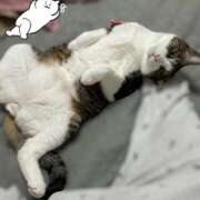 ヒメ日記 2025/04/29 22:11 投稿 はるか カワサキEROTIC（ソープランド）