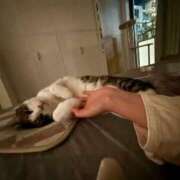 ヒメ日記 2025/05/03 02:06 投稿 はるか カワサキEROTIC（ソープランド）