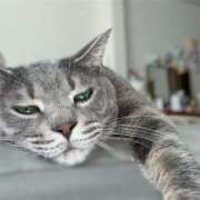 ヒメ日記 2025/05/03 08:03 投稿 はるか カワサキEROTIC（ソープランド）