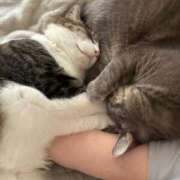 ヒメ日記 2025/05/05 15:45 投稿 はるか カワサキEROTIC（ソープランド）