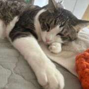 ヒメ日記 2025/05/05 22:47 投稿 はるか カワサキEROTIC（ソープランド）