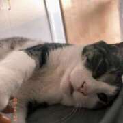 ヒメ日記 2025/05/15 17:03 投稿 はるか カワサキEROTIC（ソープランド）