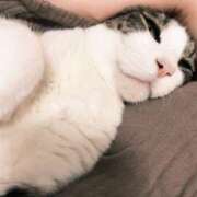 ヒメ日記 2025/05/17 21:02 投稿 はるか カワサキEROTIC（ソープランド）