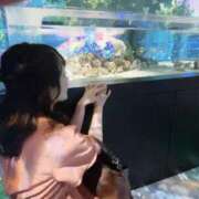 ヒメ日記 2025/05/29 12:02 投稿 はるか カワサキEROTIC（ソープランド）