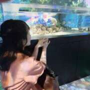 ヒメ日記 2025/06/09 19:01 投稿 はるか カワサキEROTIC（ソープランド）