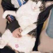 ヒメ日記 2025/06/11 09:46 投稿 はるか カワサキEROTIC（ソープランド）