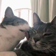 ヒメ日記 2025/06/13 15:14 投稿 はるか カワサキEROTIC（ソープランド）