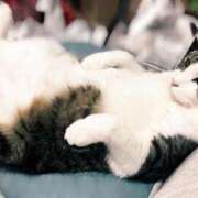 ヒメ日記 2025/06/16 16:14 投稿 はるか カワサキEROTIC（ソープランド）