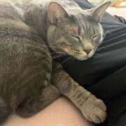 ヒメ日記 2025/07/05 15:30 投稿 はるか カワサキEROTIC（ソープランド）