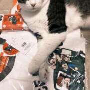 ヒメ日記 2025/07/10 20:40 投稿 はるか カワサキEROTIC（ソープランド）