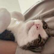 ヒメ日記 2025/07/12 16:30 投稿 はるか カワサキEROTIC（ソープランド）