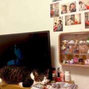 ヒメ日記 2025/07/15 17:02 投稿 はるか カワサキEROTIC（ソープランド）