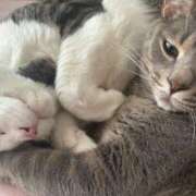 ヒメ日記 2025/07/20 10:30 投稿 はるか カワサキEROTIC（ソープランド）