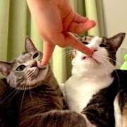 ヒメ日記 2025/07/23 17:36 投稿 はるか カワサキEROTIC（ソープランド）