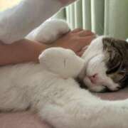 ヒメ日記 2025/07/23 22:15 投稿 はるか カワサキEROTIC（ソープランド）