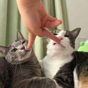 ヒメ日記 2025/08/02 23:32 投稿 はるか カワサキEROTIC（ソープランド）