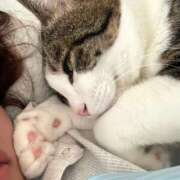 ヒメ日記 2025/08/11 15:00 投稿 はるか カワサキEROTIC（ソープランド）