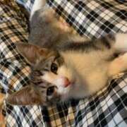 ヒメ日記 2025/08/22 15:45 投稿 はるか カワサキEROTIC（ソープランド）