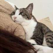 ヒメ日記 2025/09/01 18:30 投稿 はるか カワサキEROTIC（ソープランド）