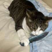 ヒメ日記 2025/09/01 21:45 投稿 はるか カワサキEROTIC（ソープランド）