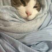 ヒメ日記 2025/09/03 23:45 投稿 はるか カワサキEROTIC（ソープランド）