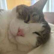 ヒメ日記 2025/09/13 21:10 投稿 はるか カワサキEROTIC（ソープランド）