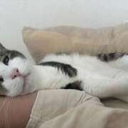 ヒメ日記 2025/09/16 19:01 投稿 はるか カワサキEROTIC（ソープランド）