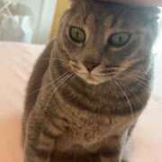 ヒメ日記 2025/09/22 21:02 投稿 はるか カワサキEROTIC（ソープランド）