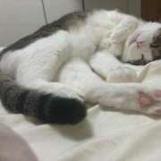 ヒメ日記 2025/09/26 16:45 投稿 はるか カワサキEROTIC（ソープランド）