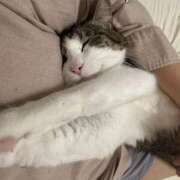 ヒメ日記 2025/09/26 19:45 投稿 はるか カワサキEROTIC（ソープランド）